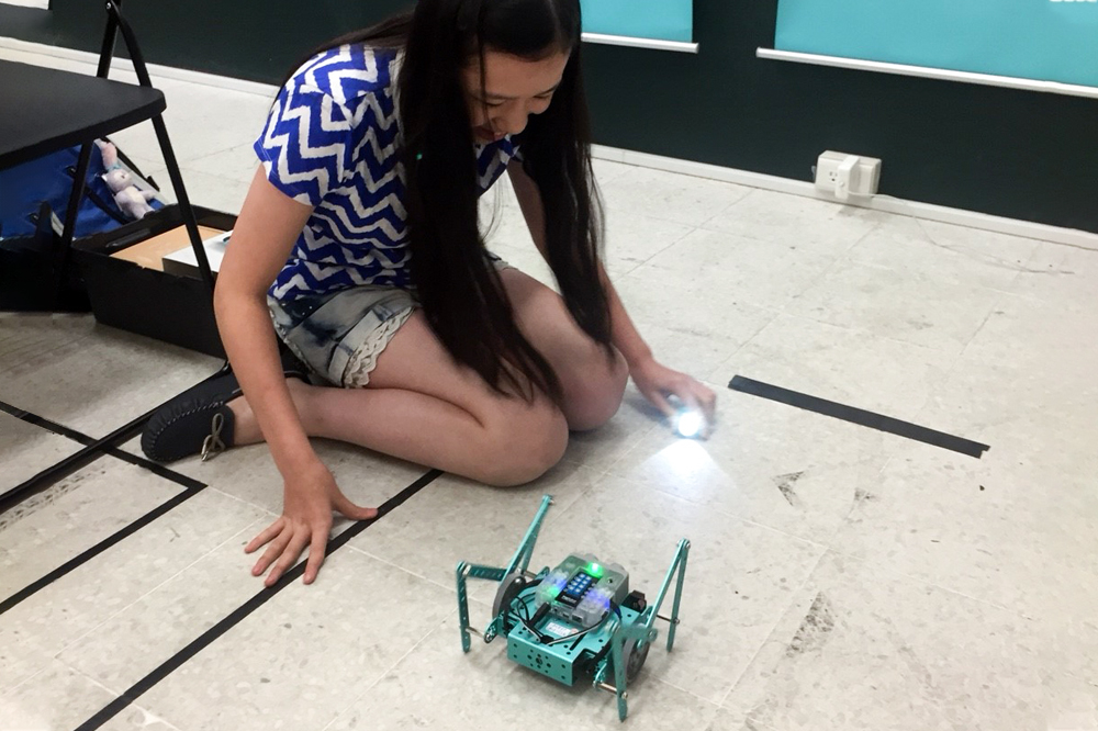 FlipRobot光感連桿仿生蟲機器人課程
